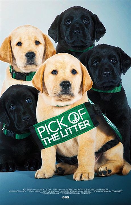 Pick of the Litter : Affiche