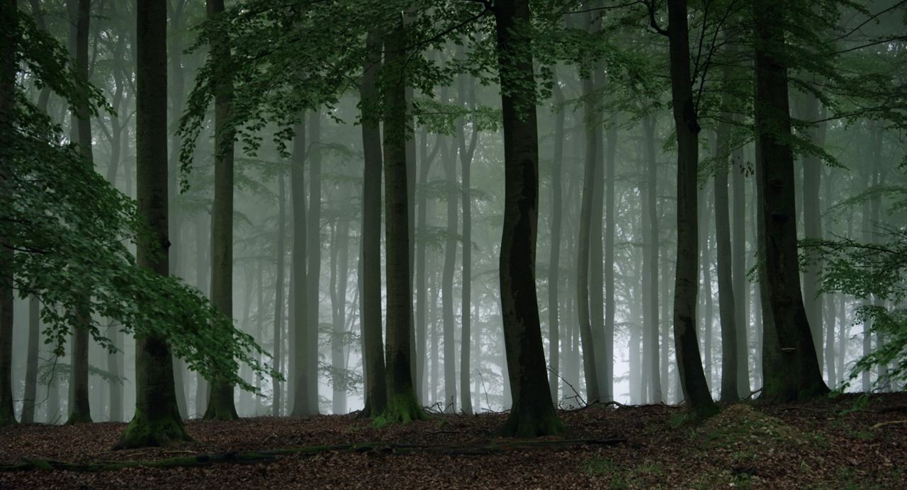 Et l'homme créa la chasse : Photo