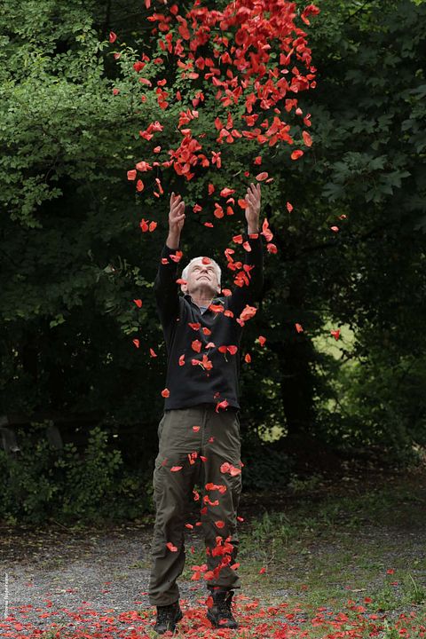 Penché dans le vent : Photo