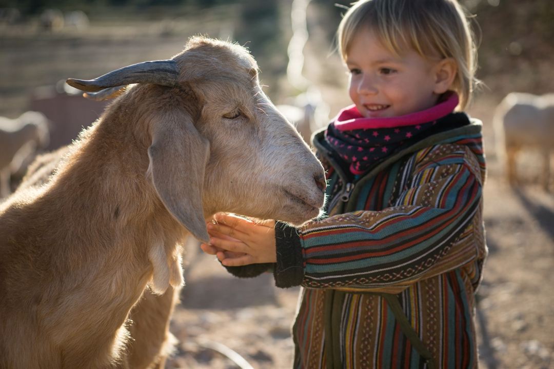 Citizen Animal - A Small Family's Quest for Animal Rights : Photo