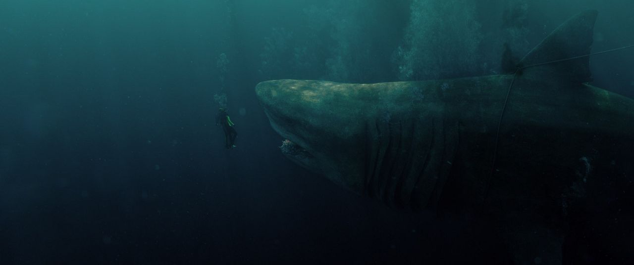 En eaux troubles : Photo