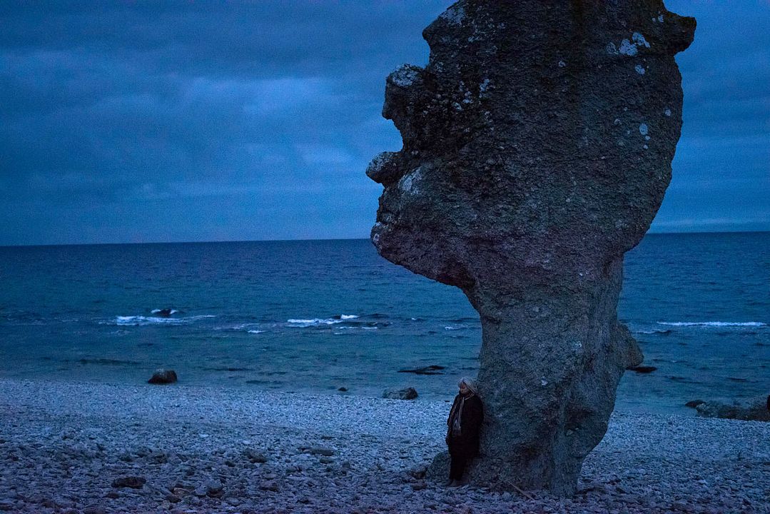À la recherche d'Ingmar Bergman : Photo
