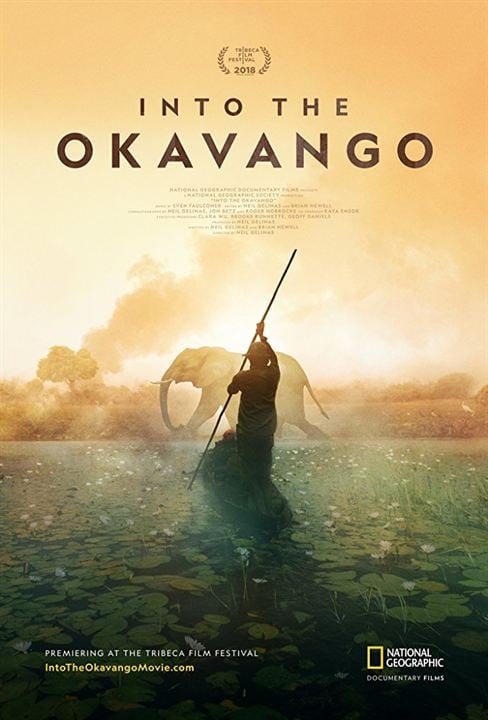 Au cœur de l'Okavango : Affiche