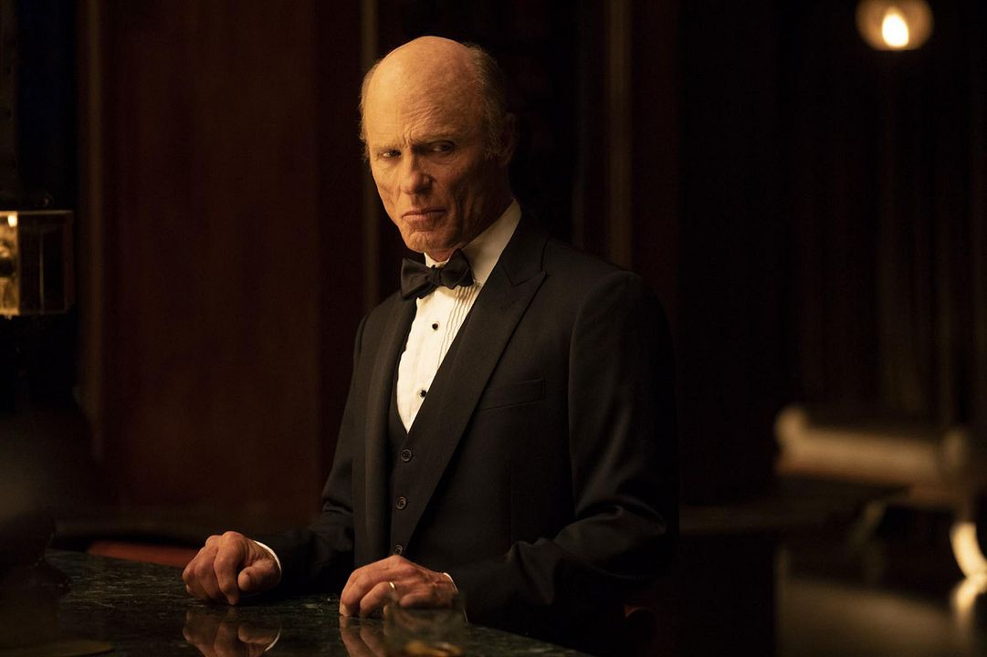 Westworld : Affiche Ed Harris
