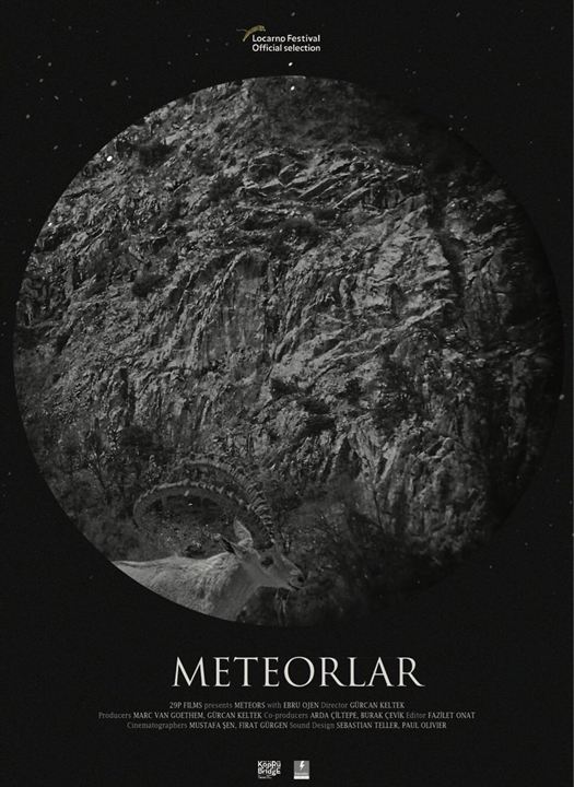 Meteors : Affiche