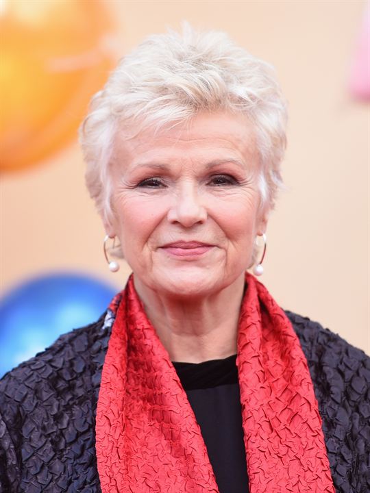 Affiche Julie Walters