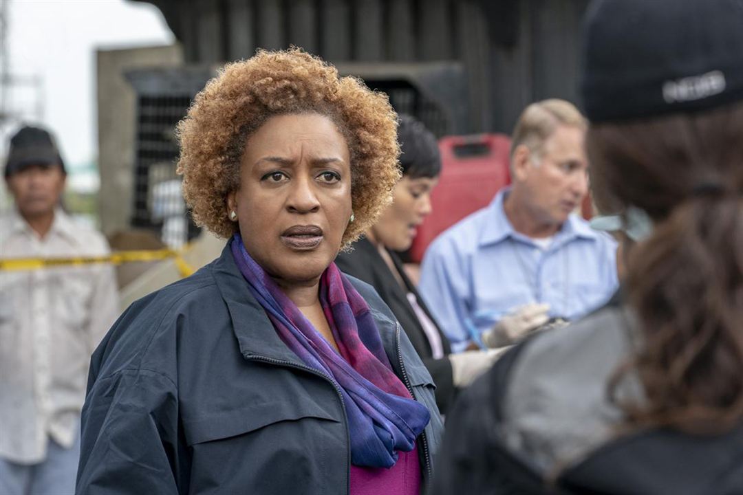 NCIS : Nouvelle-Orléans : Photo CCH Pounder