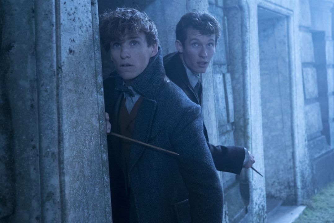 Les Animaux fantastiques : Les crimes de Grindelwald : Photo Eddie Redmayne, Callum Turner