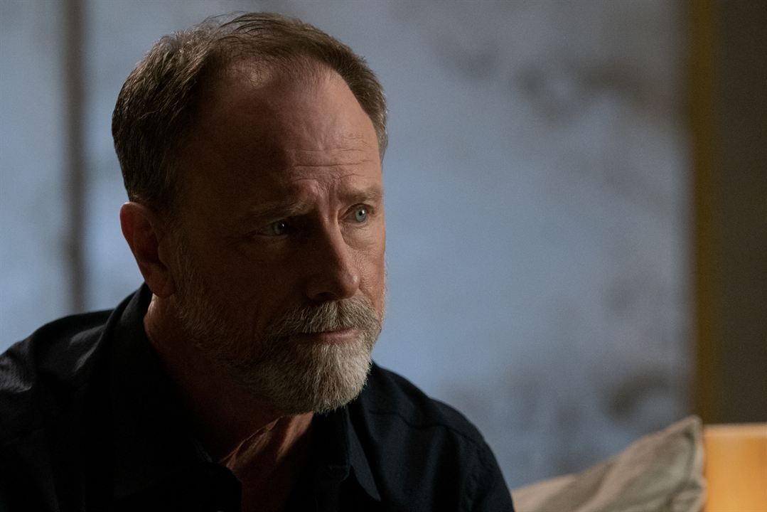 What/If : Photo Louis Herthum