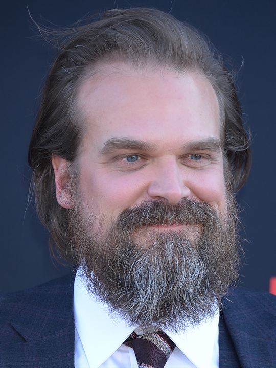 Affiche David Harbour