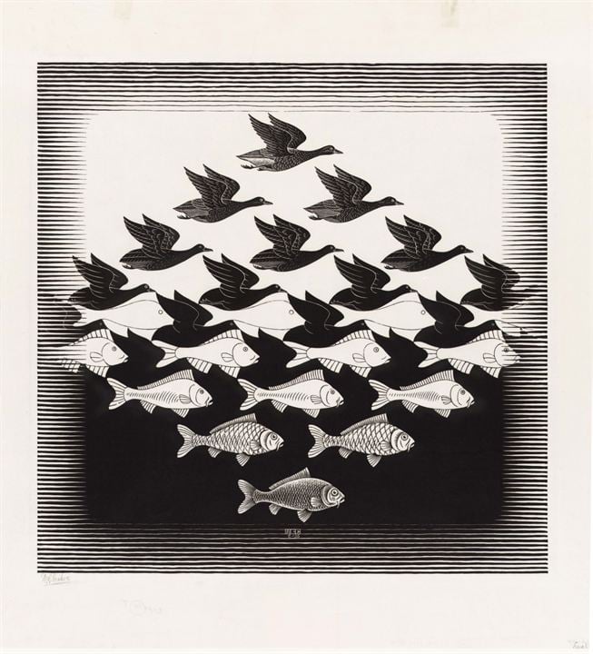 M. C. Escher : L'explorateur de l'infini : Photo