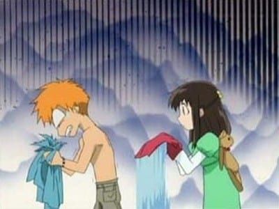 Fruits Basket : Affiche