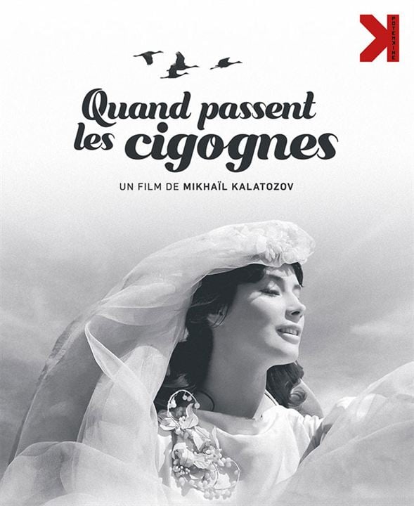 Quand passent les cigognes : Affiche