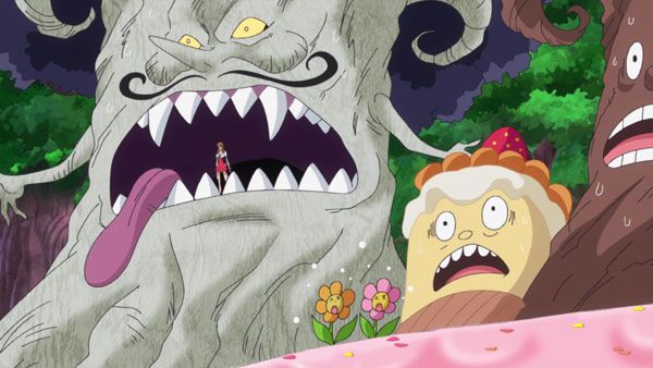 One Piece : Photo