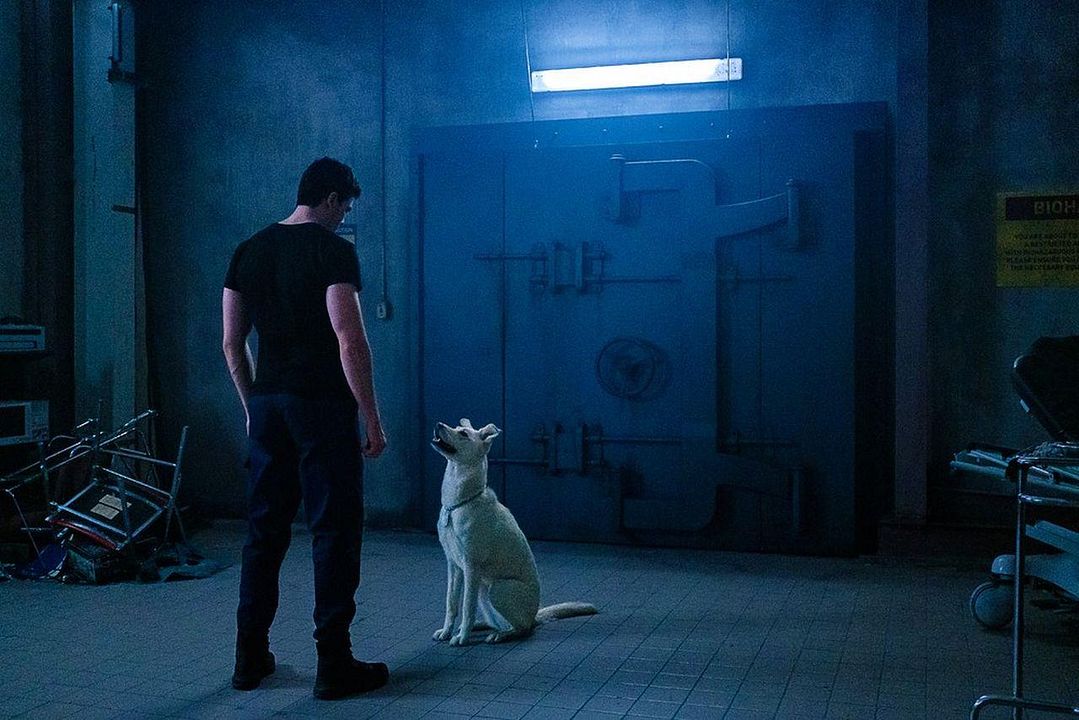 Titans : Photo