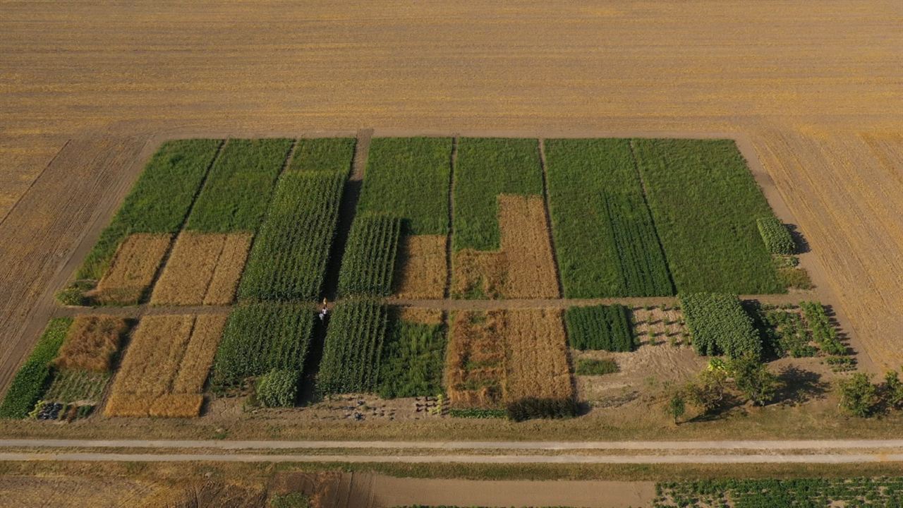 Manger autrement - L'expérimentation : Photo