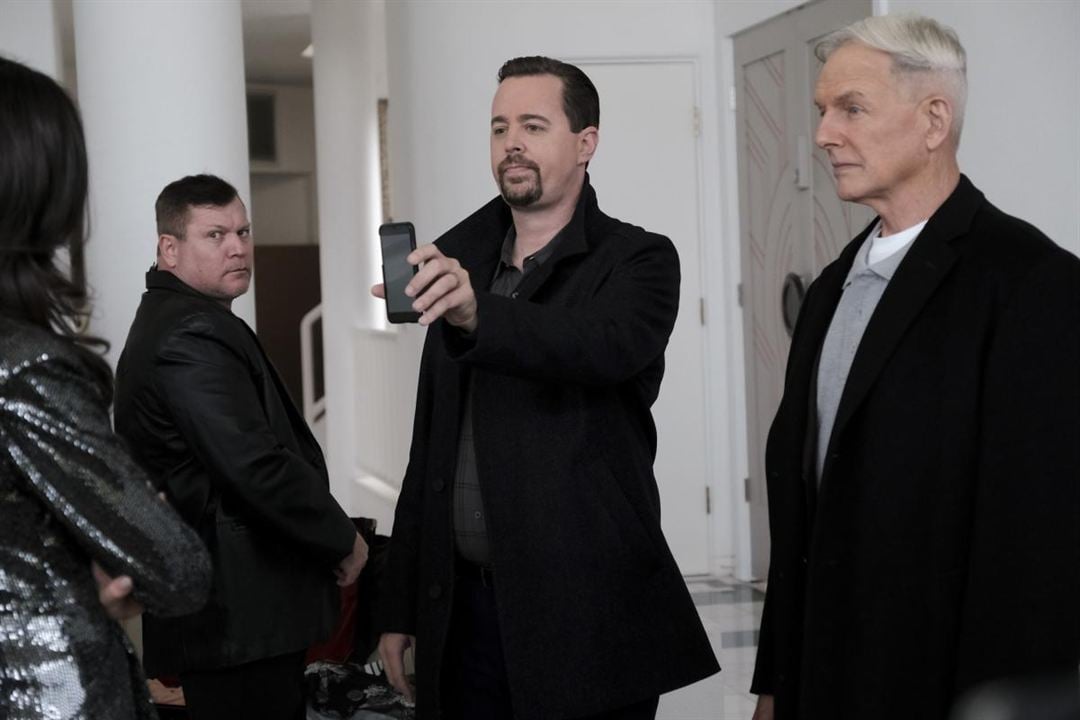 NCIS : Enquêtes spéciales : Photo Sean Murray, Mark Harmon