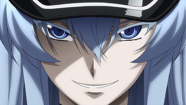 Akame ga KILL ! : Affiche