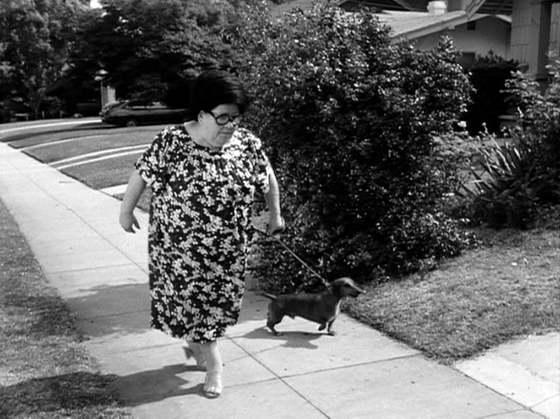 Frankenweenie : Photo Roz Braverman