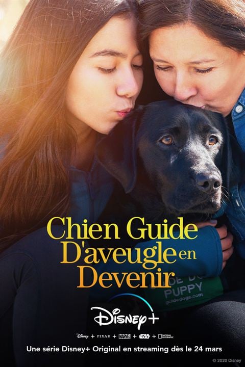 Chien guide d'aveugle en devenir : Affiche