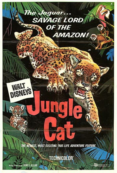 Jungle Cat : Affiche