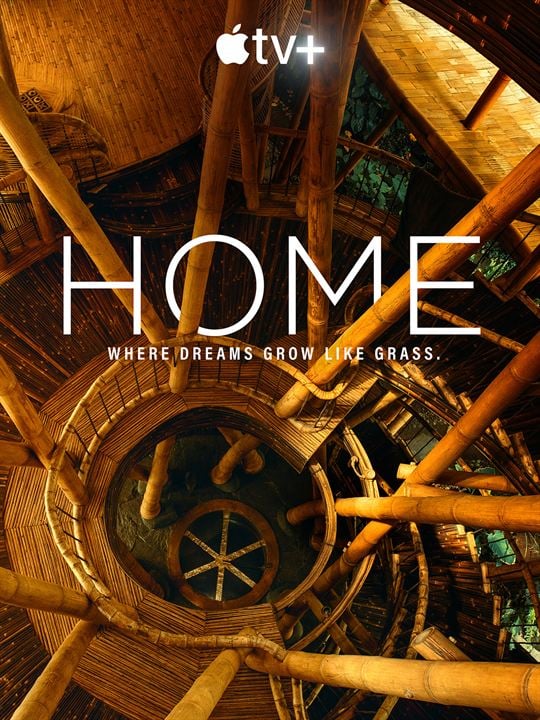 Home : Affiche