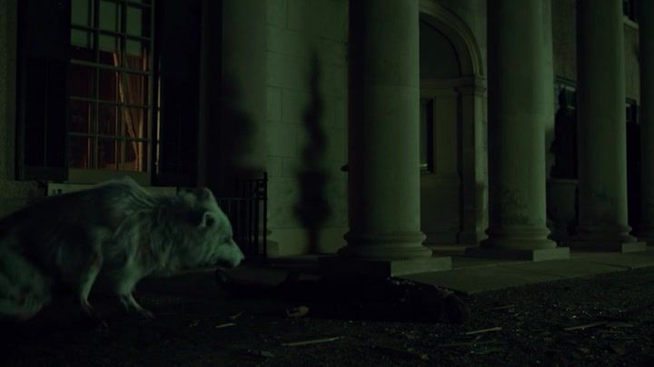 Hemlock Grove : Photo
