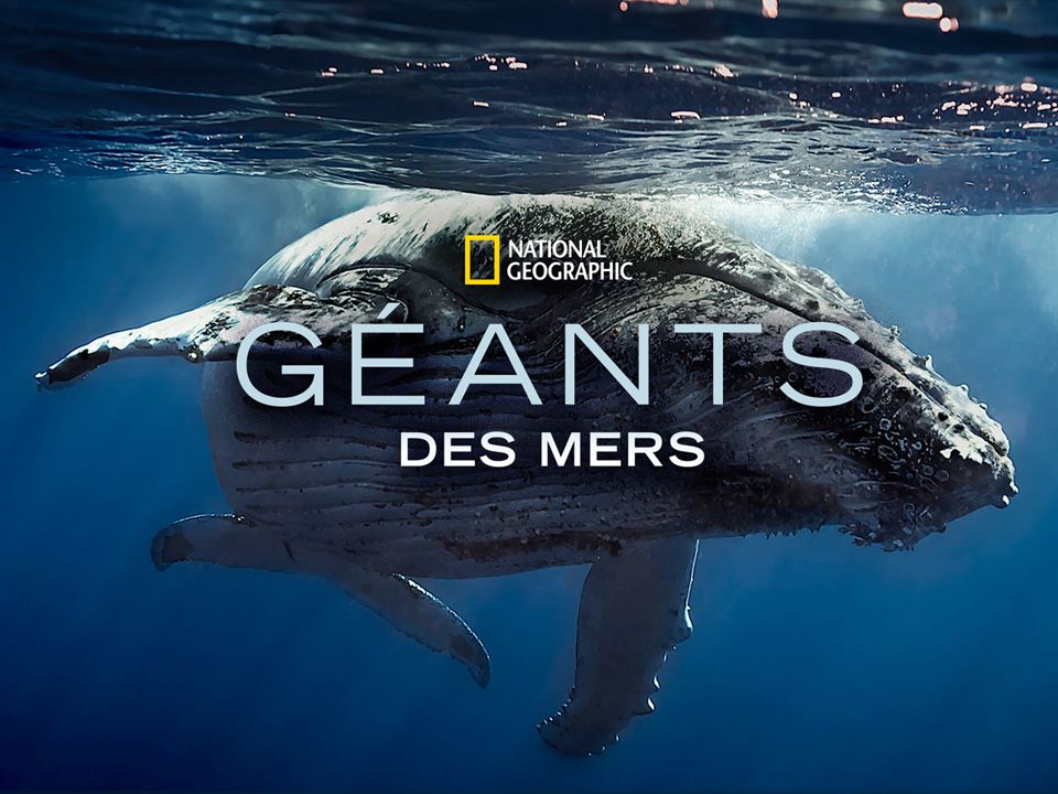 Géants des mers : Affiche