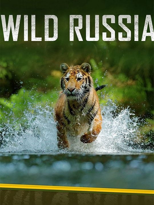 Destination Wild : Russie à l'État Sauvage : Affiche