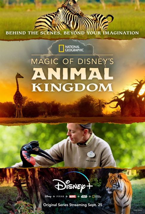 Au cœur de Disney’s Animal Kingdom : Affiche