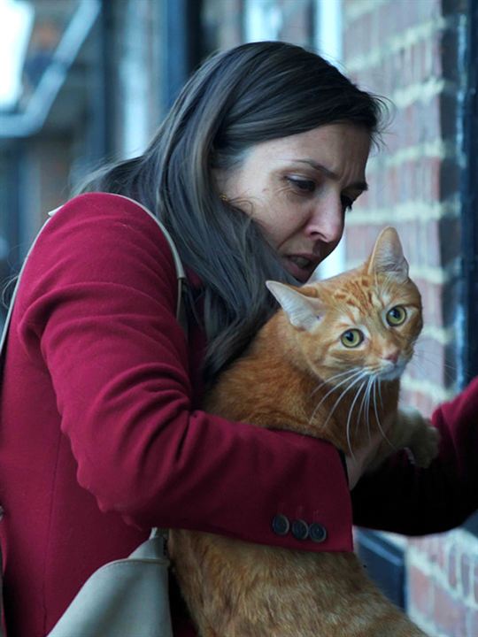 Un chat dans le mur : Affiche