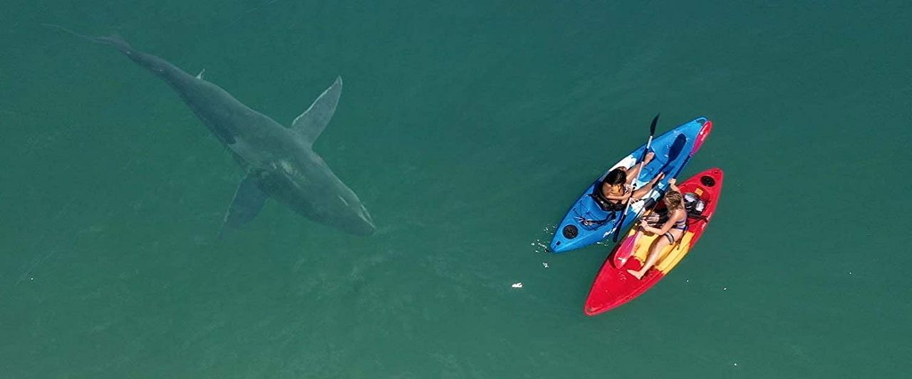 La Saison des requins : Photo