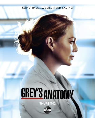 Grey's Anatomy : Affiche