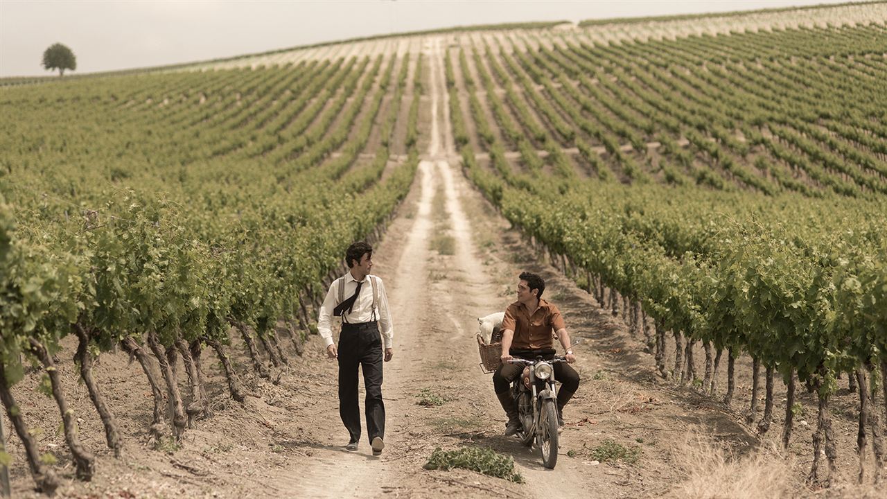 El verano que vivimos : Photo Javier Rey, Pablo Molinero