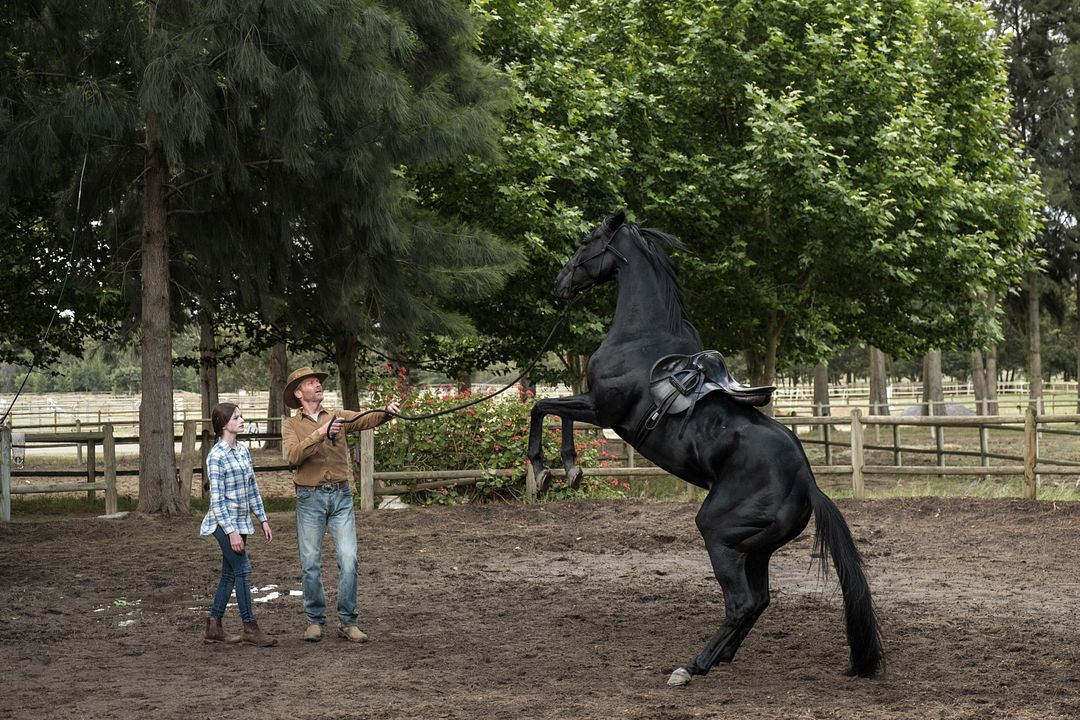 Black Beauty : Photo Iain Glen, Mackenzie Foy