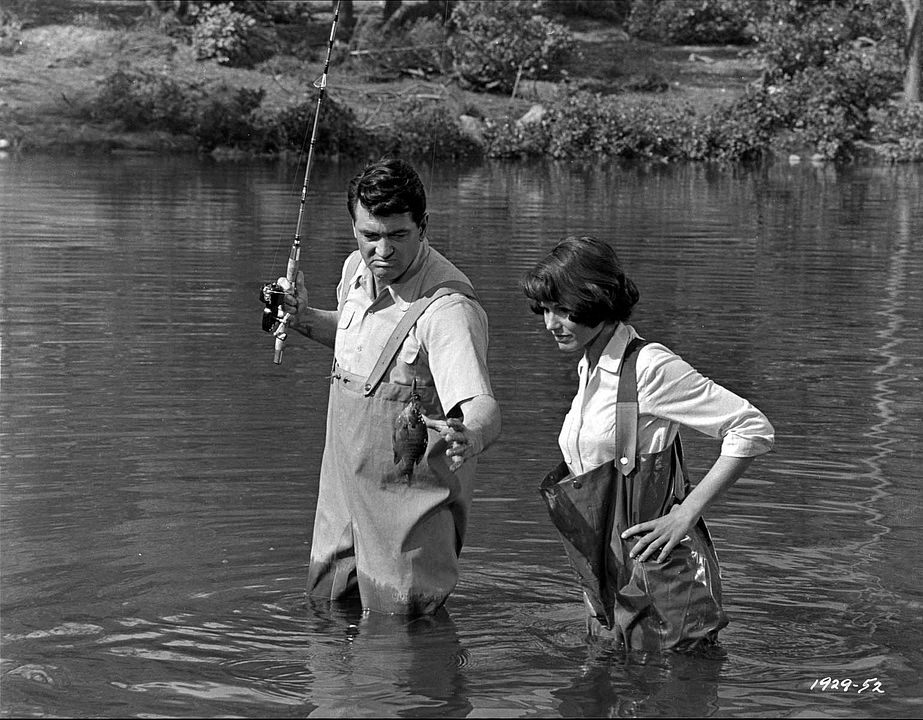 Le Sport favori de l'homme : Photo Rock Hudson, Paula Prentiss