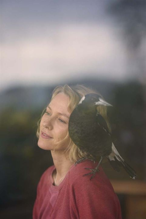 Penguin Bloom : Photo Naomi Watts