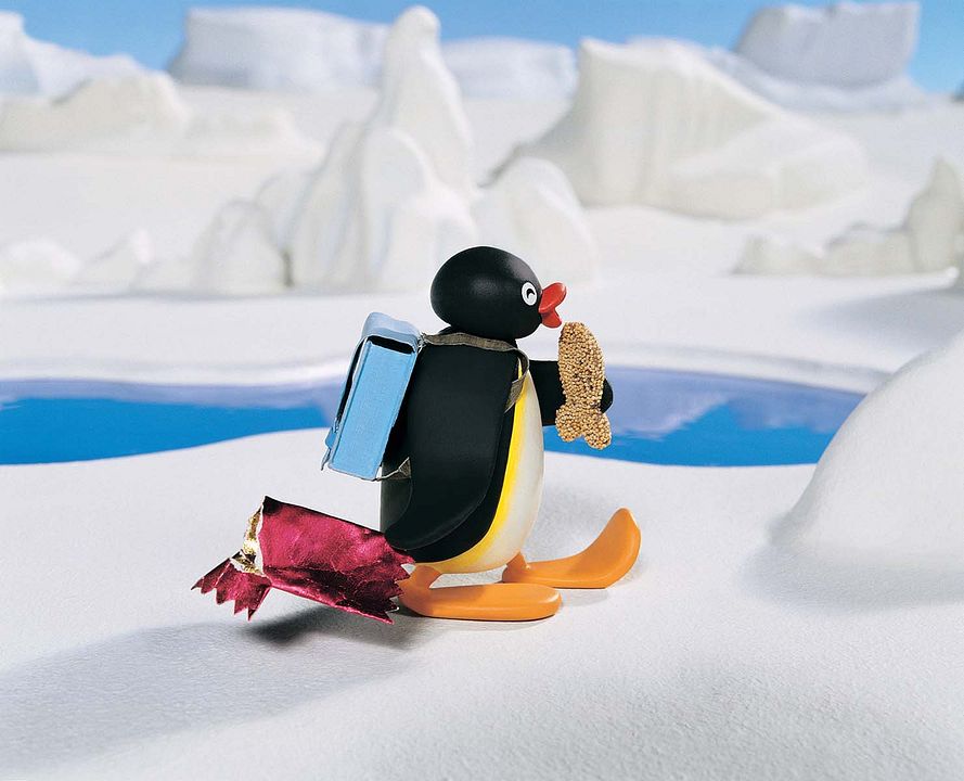 Pingu : Photo