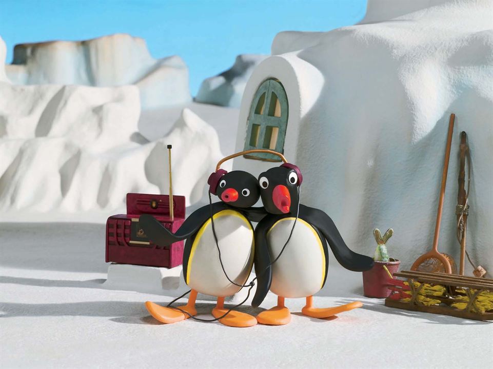 Pingu : Photo