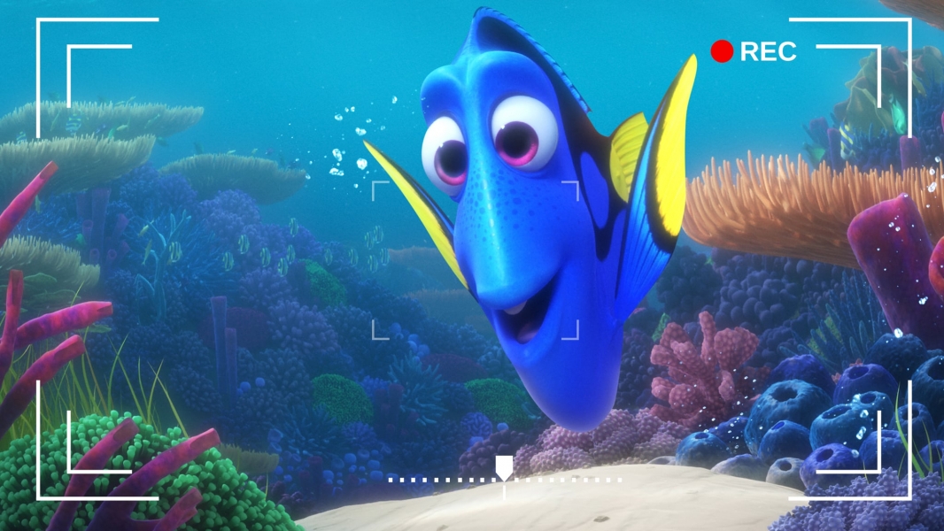 Sous l’océan avec Dory : Photo