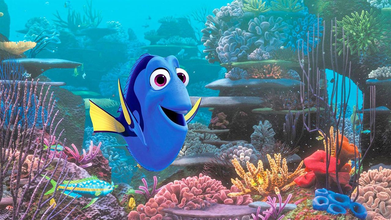 Sous l’océan avec Dory : Photo