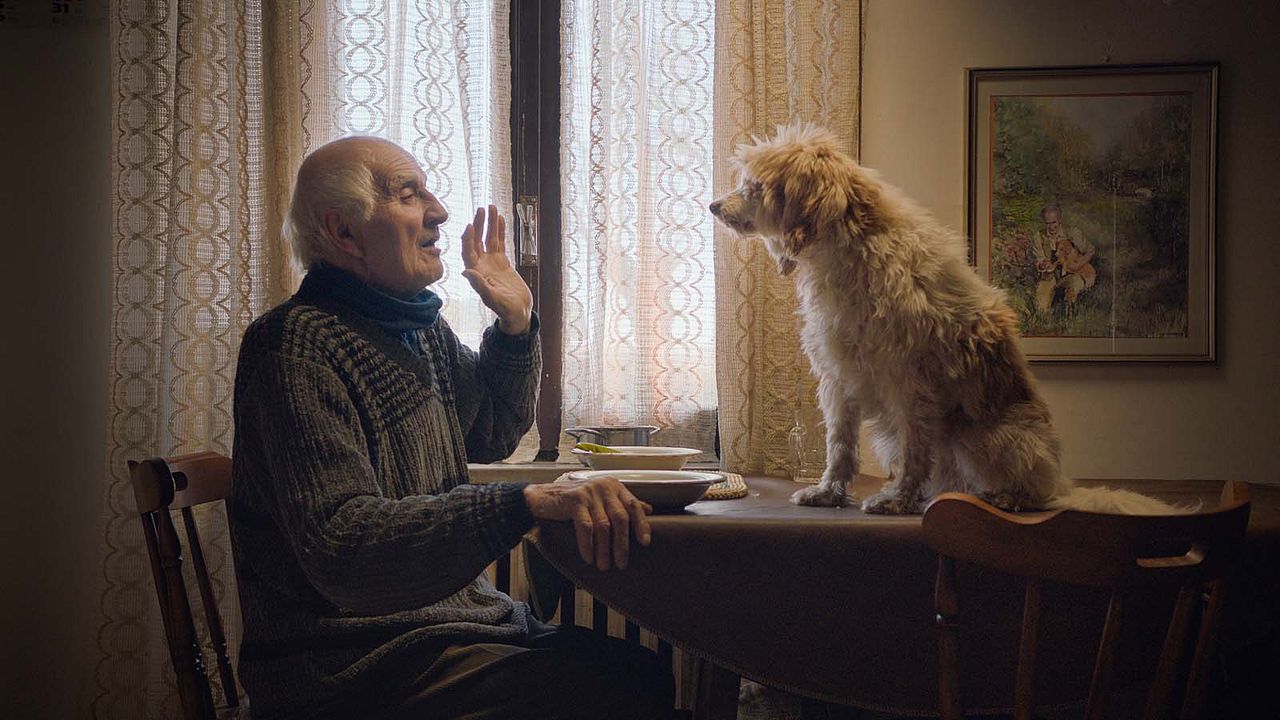Chasseurs de truffes : Photo
