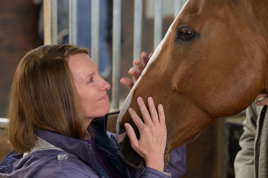 Dream Horse : Photo Toni Collette
