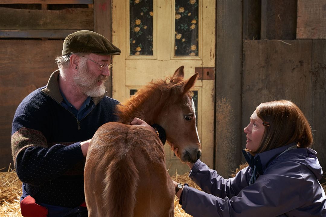 Dream Horse : Photo Toni Collette, Owen Teale