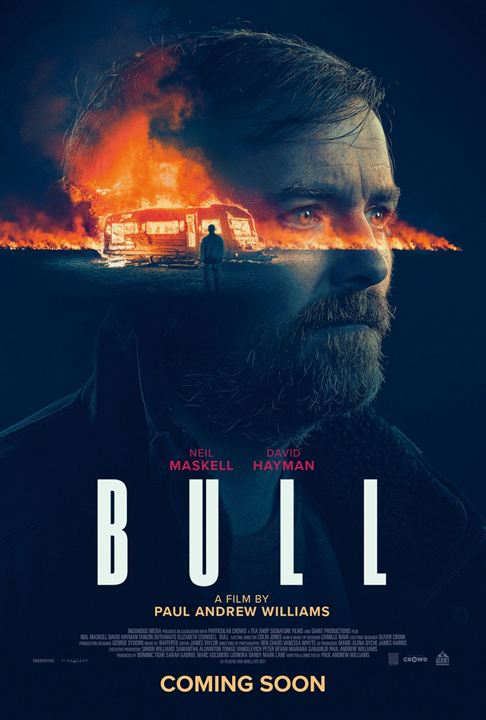 Bull : Affiche