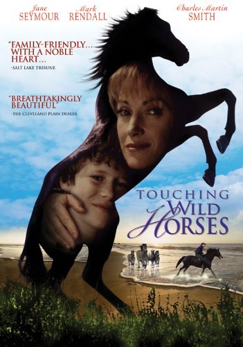 Touching Wild Horses : Affiche