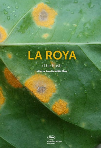 La Roya : Affiche