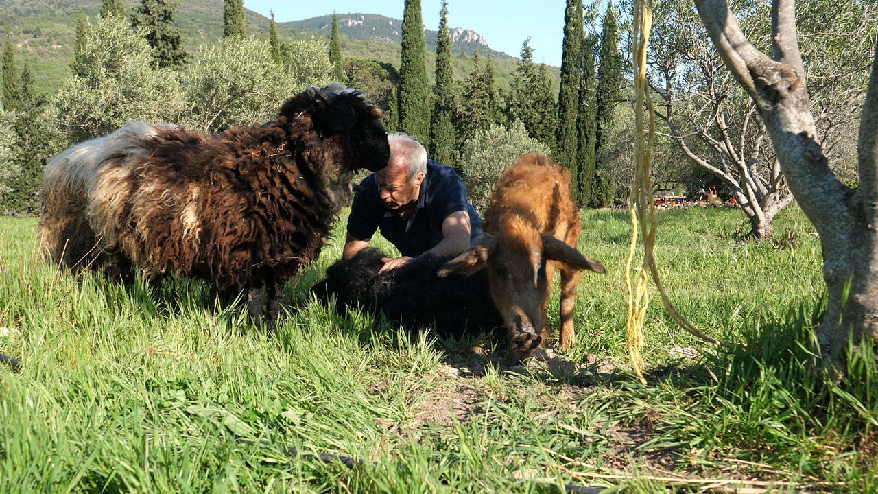 La Ferme qui soigne : Photo