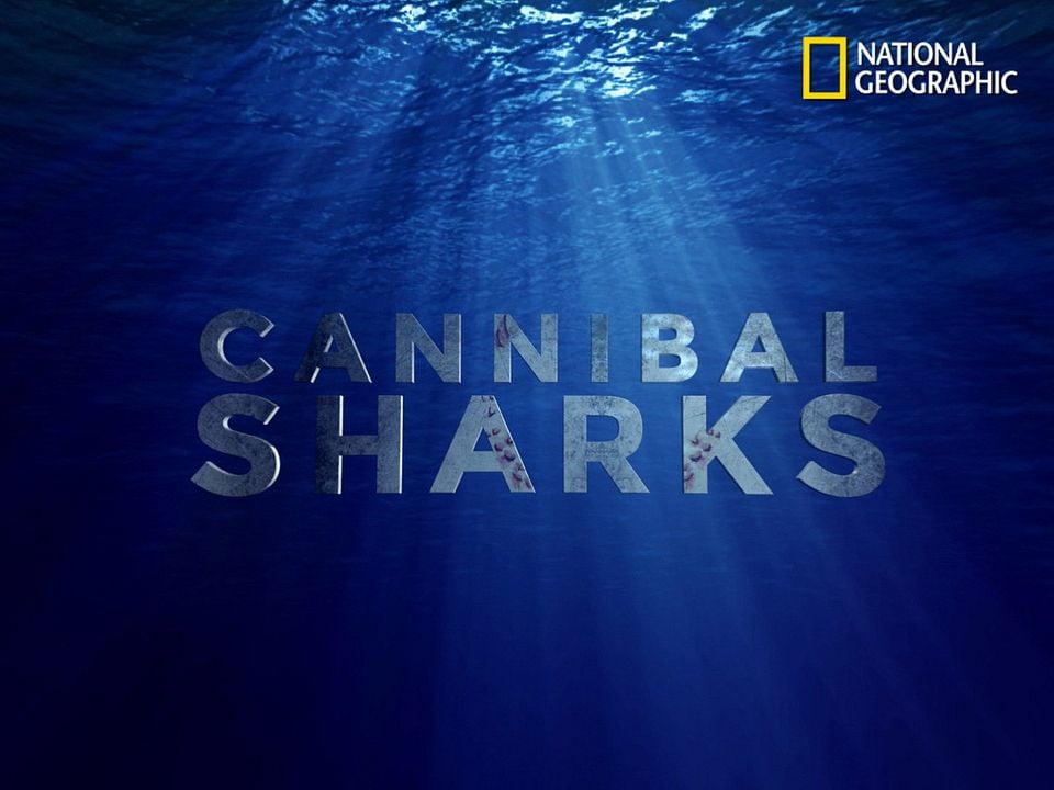 Requins cannibales : Affiche