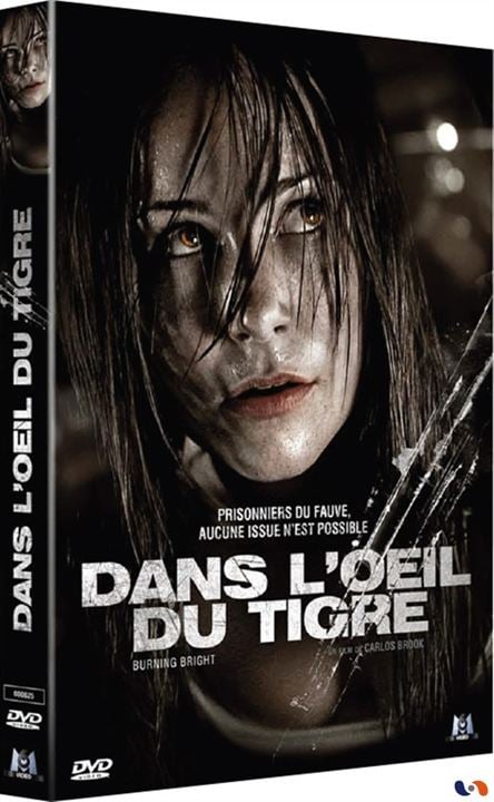 Dans l'oeil du tigre : Affiche